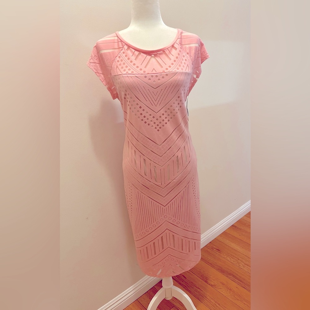Bold Elements Cut to Curve elegant pink sleeveless dress Size: XL